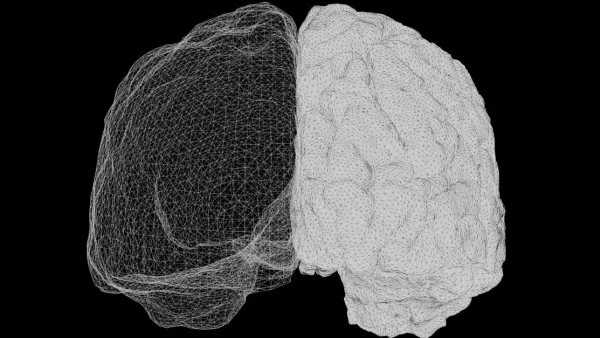 IQ or EQ: Which One Is More Important?