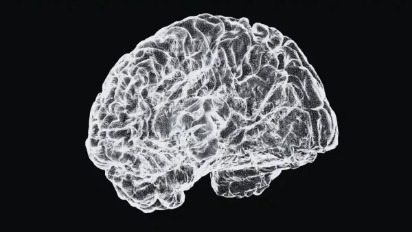 10 Facts About Your Brain That Prove You Can Achieve Anything You Set Your Mind On