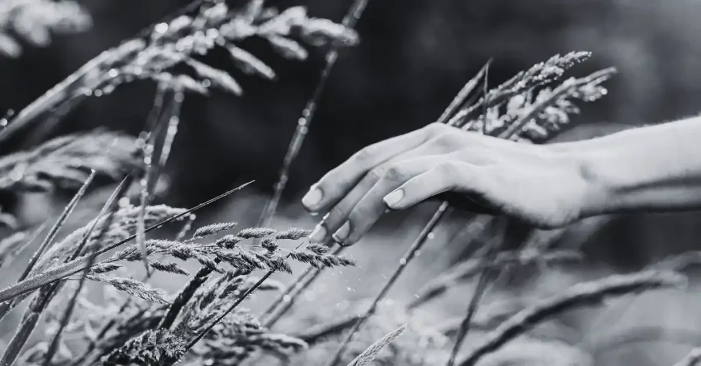 7 Essential Steps You Need To Follow In Order To Become An Emphatic Healer