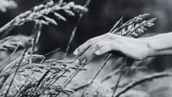 7 Essential Steps You Need To Follow In Order To Become An Emphatic Healer