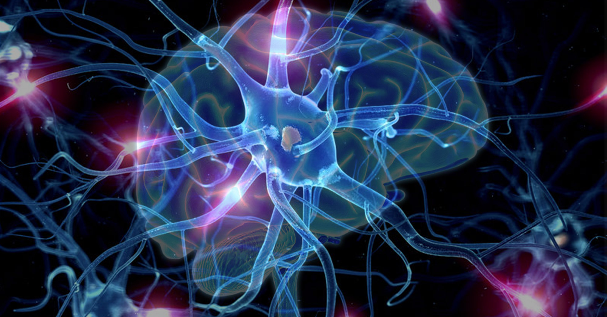 Как называются клетки головного мозга. Нейронные связи головного мозга. Мозг человека Нейроны. Нейронная система мозга. Электричество Нейрон.