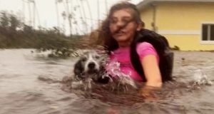 Bahamas woman brings nearly 100 dogs into her home