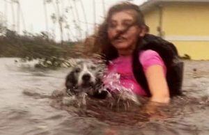 Bahamas woman brings nearly 100 dogs into her home