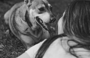 Losing A Pet Can Be Much More Painful Than Losing A Loved One” is locked Sometimes, Losing A Pet Can Be Much More Painful Than Losing A Loved One