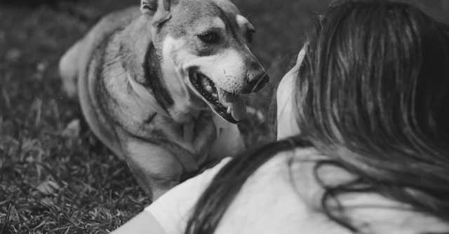 Losing A Pet Can Be Much More Painful Than Losing A Loved One” is locked Sometimes, Losing A Pet Can Be Much More Painful Than Losing A Loved One