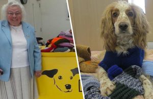 89-Year Old Woman Knitted Over 400 Cozy Blankets For Shelter Puppies