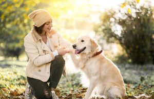 happy dog