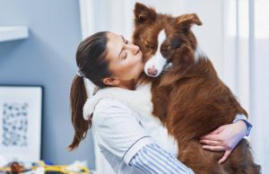 Understanding Canine Digestive Health: Why Is My Dog Pooping Jelly?