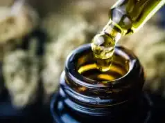 CBD Oil Vs. CBD Topicals: Which Is More Effective For Pain Relief