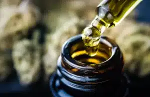 CBD Oil Vs. CBD Topicals: Which Is More Effective For Pain Relief